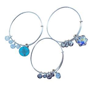 Alex and Ani silver Bracelets Friendship  2016, Snowflake 2018 , Cupcake 2017